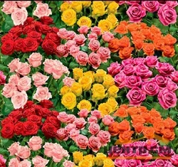 Клеенка ПВХ FIESTA на нетканой основе 1,4х20м AN50