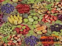 Клеенка ПВХ FIESTA на нетканой основе 1,4х20м H540