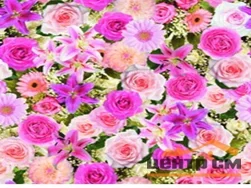 Клеенка ПВХ FLORISTA на нетканой основе с печатным рисунком 1,4х20м 144-00