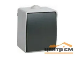 Выключатель одноклавишный ОП Форс 10А 250А IP54 ВС20-1-0-ФСр IEK EVS10-K03-10-54-DC