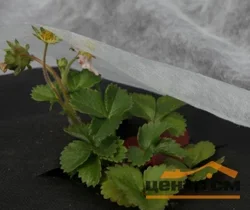 Укрывной материал (спанбонд) Удача 17 UV для рассады (1,6х10м)