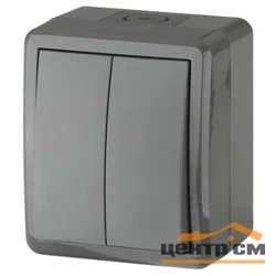 Выключатель двухклавишный ОП Эра Эксперт IP54, серый (10АХ-250В) арт.11-1404-03