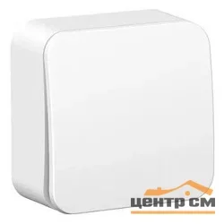 Выключатель одноклавишный ОП Blanca 10А бел. SE BLNVA101001 Systeme Electric