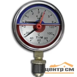 Термо-манометр TIM радиальный 6 бар, резьба 1/4" наружная