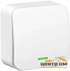 Выключатель 1-кл. ОП Blanca 10А IP20 (сх. 1) 250В с подсветкой с изолир. пластиной бел. SE BLNVA101111 SE