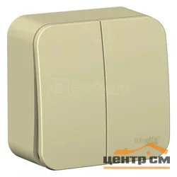 Выключатель двухклавишный ОП Blanca 10А IP20 (сх. 5) 250В с изолир. пластиной беж. SE BLNVA105017 SE
