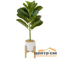 Фикус в цементном горшке с подставкой из МДФ, Д140 Ш140 В690