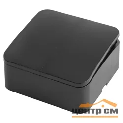 Выключатель двухклавишный ОП 250В, 10А, IP20, черный (MSW10-20-02) София STEKKER