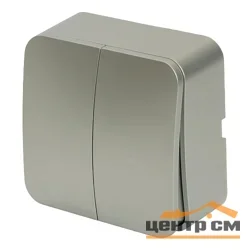 Выключатель двухклавишный ОП 250В, 10А, IP20, серебро (MSW10-20-03) София STEKKER