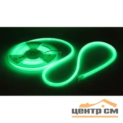 Лента светодиодная термостойкая для бани ЭРА LS2835-9,6-120-24-G-IP68-3 year-5m (зеленый)